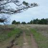 The Jean Lauer Trail traverses the top off the bluff.  The trail is slightly eroded, but great for hiking, biking, and horse back riding.