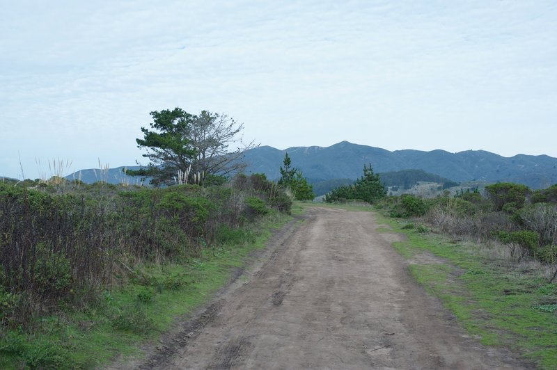 The dirt trail as it crosses the top. You can see the mountains to the east that rise above Half Moon Bay and Moss Beach.