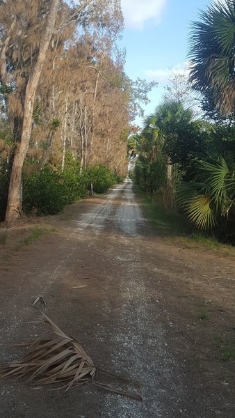 Typical views on the Owahee Trail.