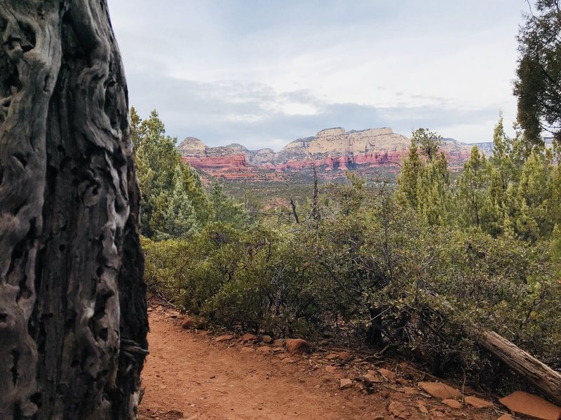 View from Devil’s Bridge home- about 1.5 miles in.