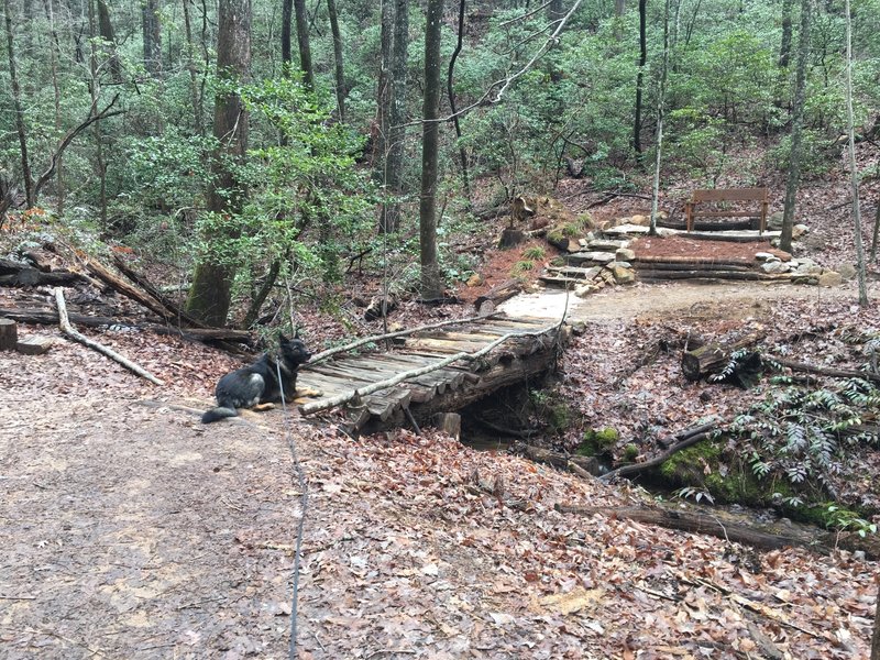 Small bridge and bench