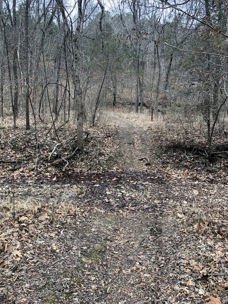 One of several harmless creek crossings on the trail.