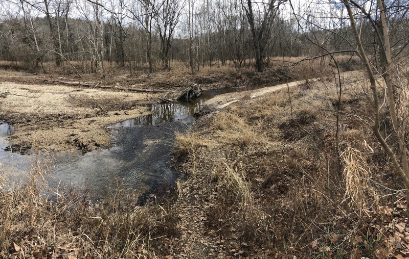 LaBarque Creek would be tempting in the hot, humid St. Louis summers