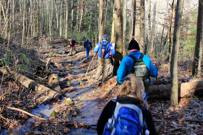 Collins Gulf hike