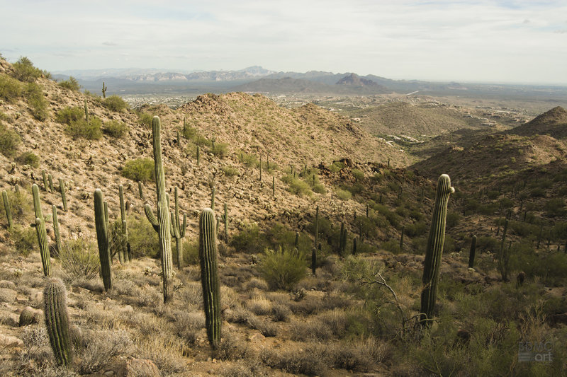 View from Sunrise Peak, Fountain Hills, AZ