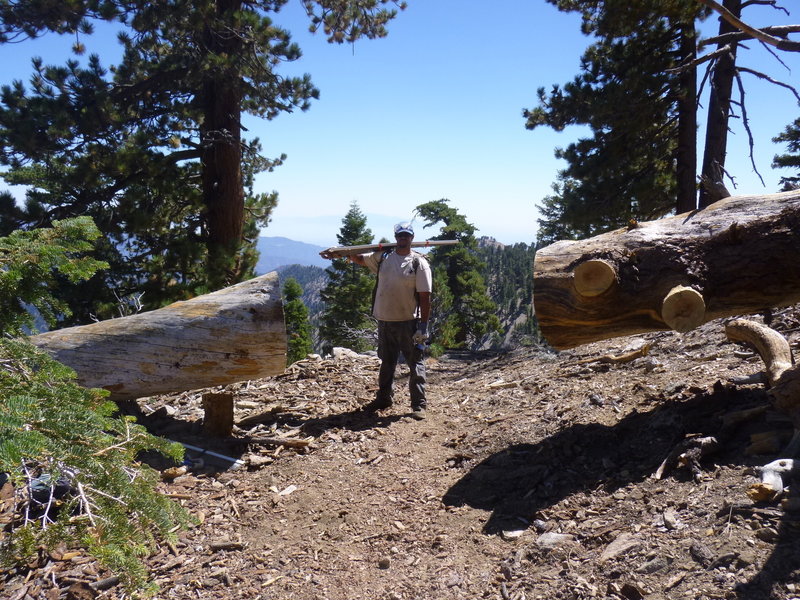 Cutting logs off trail in wilderness with crosscut saw