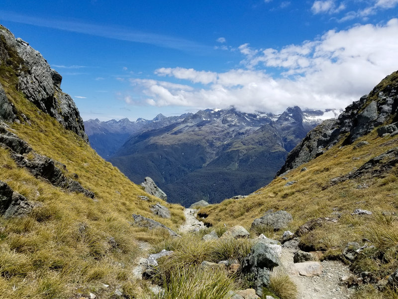 The steep but rewarding ascent on Conical Hill Track