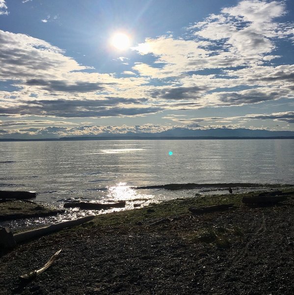 View from one of the Puget Sound beaches, with a great view of the Olympics.