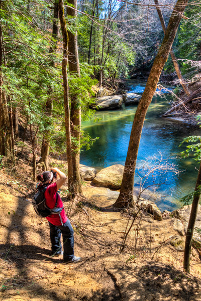 Sipsey Wilderness