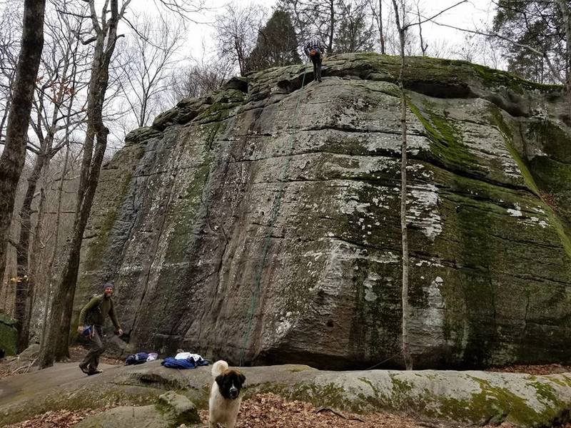 A couple guys rock climbing. St Bernard was friendly!
