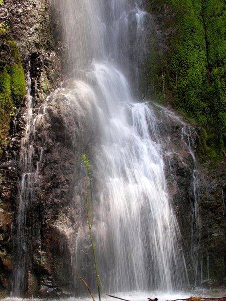 A waterfall along the Herman Creek Trail