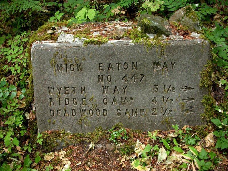 Junction with the Nick Eaton (Way) Trail