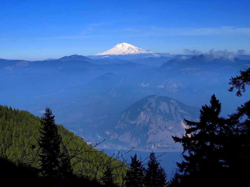 Mount Adams and Wind Mountain from the Gorton Creek Trail