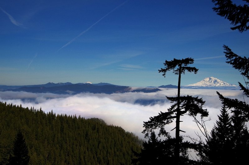 Mounts Rainier (L) and Adams (R) from the Gorton Creek Trail