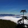 Mounts Rainier (L) and Adams (R) from the Gorton Creek Trail