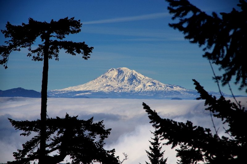 Mount Adams from the Gorton Creek Trail