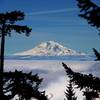 Mount Adams from the Gorton Creek Trail