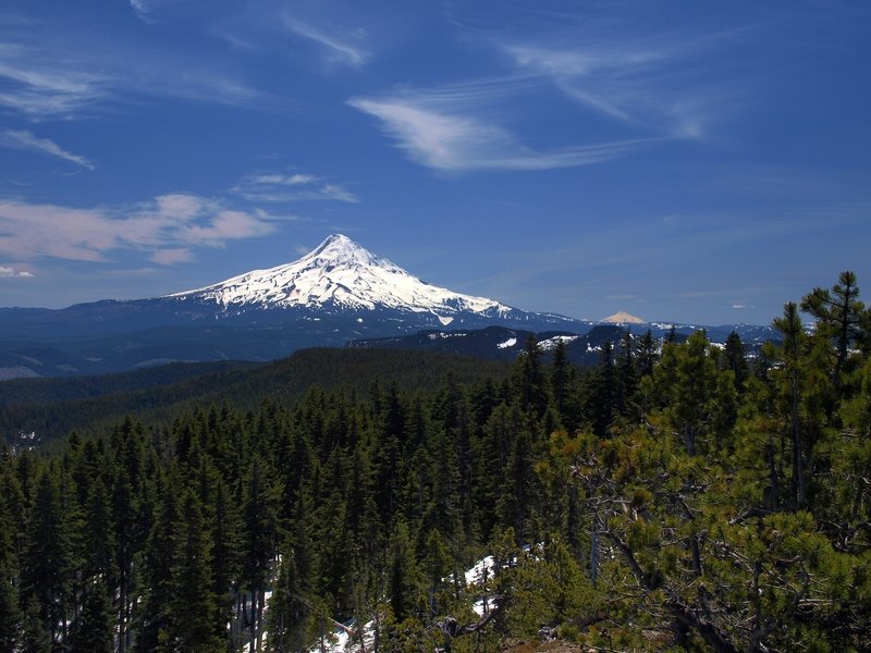 Mount Hood from Green Point Mountain