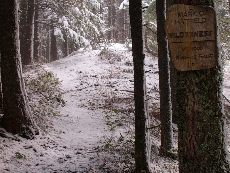 The junction of the Nick Eaton and the Nick Eaton Cutoff in winter