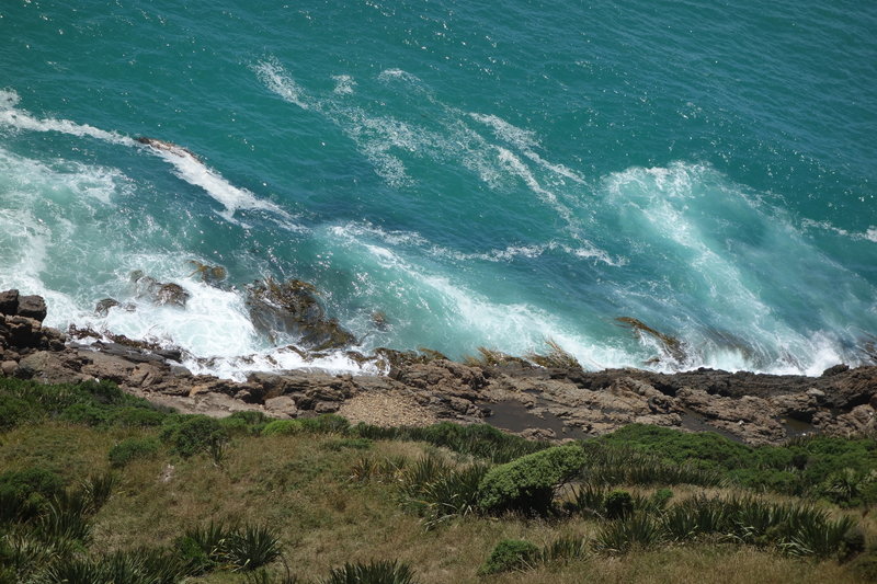 Below Nugget Point where the seals frolic