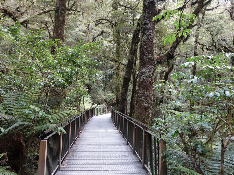 Wooden walkway at The Chasm