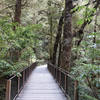 Wooden walkway at The Chasm