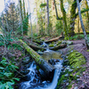 A nice little waterfall with a picnic table above it beside some whitewater await those who explore this city trail.