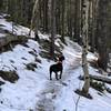 Conquering Mountain Lion Trail