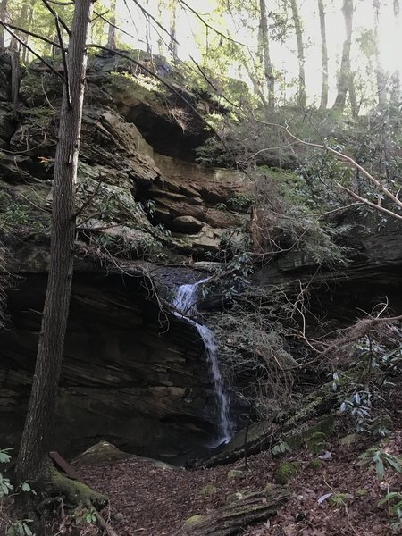 On the Gentlemen's Swimming Hole Loop after a heavy rain.