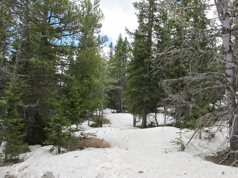 June 1st can be a bit early - be prepared for snow on the trail.