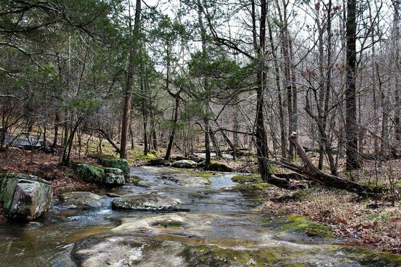 Small creek near the Cheater Parking