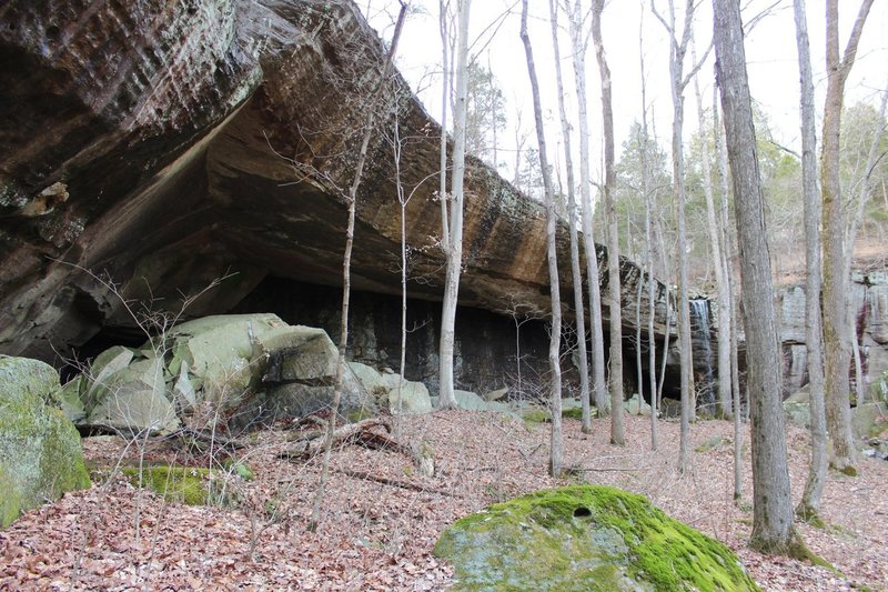 Big Rock Shelter!