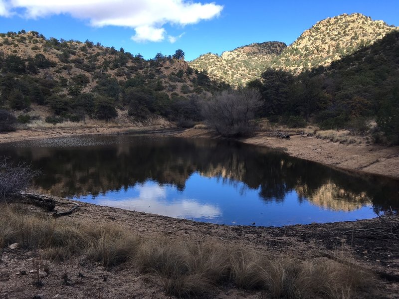 A hidden tank off the Middlemarch Tank Spur Trail.