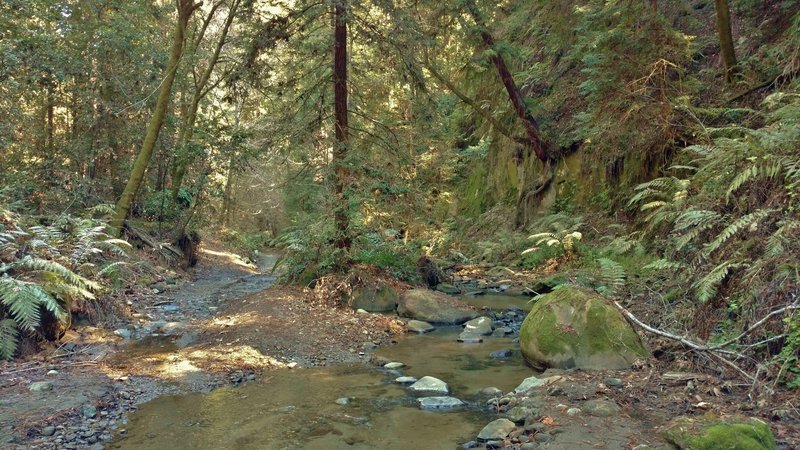 Hinckley Road runs along Hinckley Creek to this creek crossing.