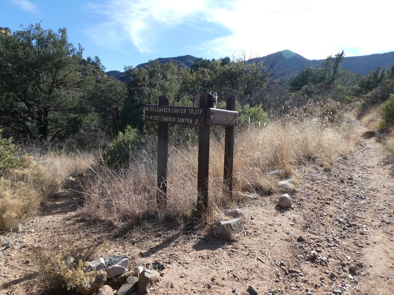 Cochise Trail Middlemarch Canyon Fork