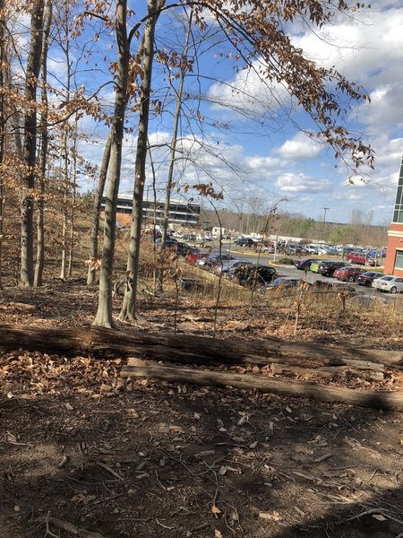 Trail access near the parking lot of 8720 Stony Point Pkwy connecting through the power lines' easement.