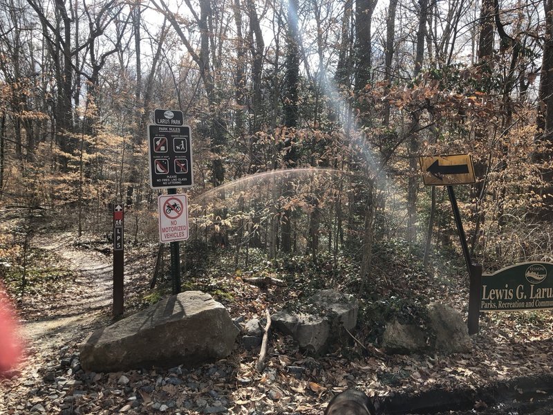 Trailhead at Beechmont Rd. and Old Holly Rd.