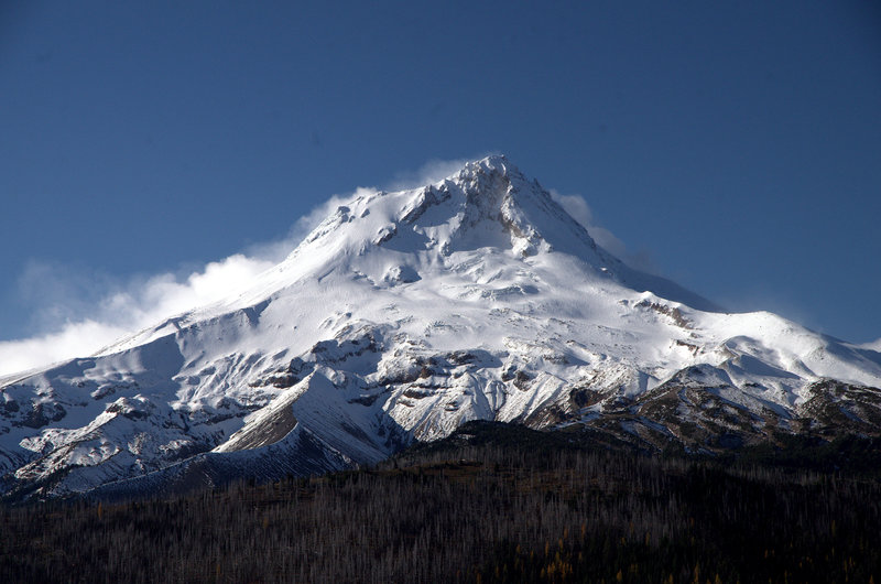 Mt. Hood from the top of the Camp Windy Trail