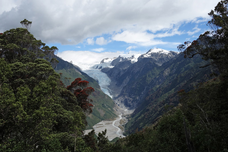 Franz Josef Glacier viewed from Rata point on the Alex Knob Track