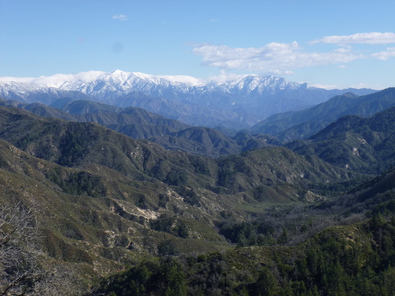 View of West Fork and Mt. Baldy from Valley Forge Trail