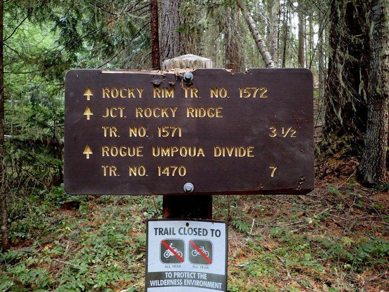 Start of the Beaver Swamp Trail