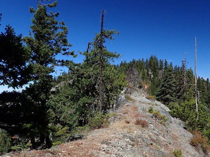 The trail along Rocky Rim