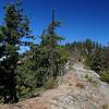 The trail along Rocky Rim