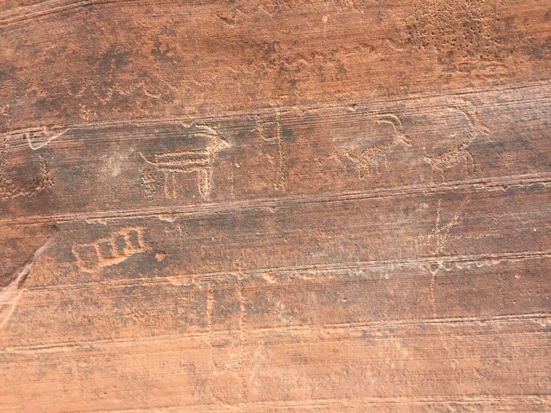 Petroglyphs...prehistoric cave drawings to the left of the large arch rock cave!