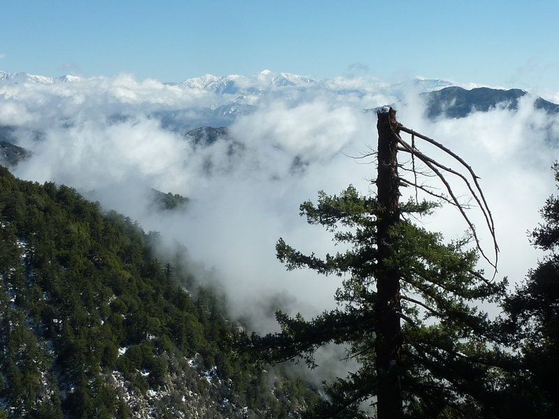 Telegraph Peak from Mt. Wilson Toll Road