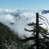 Telegraph Peak from Mt. Wilson Toll Road