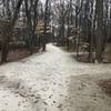 The beginning of the Piney Woods and Alder Trails