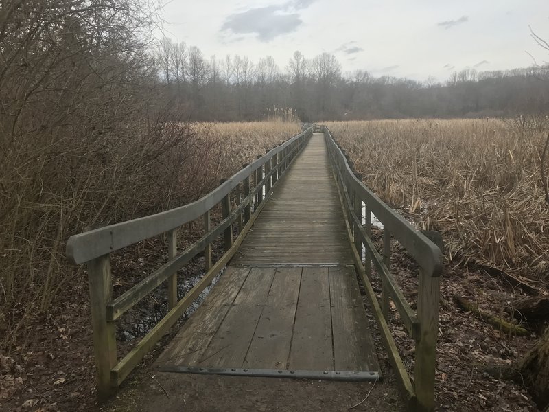 The beginning of a walkway through a wetland area