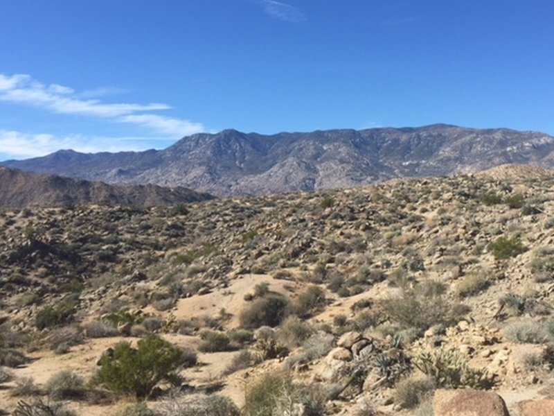 Looking south up into the Santa Rosa Mountains.