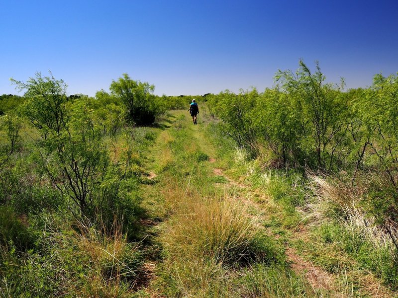 Along the Rylander Fortress Cliff Trail